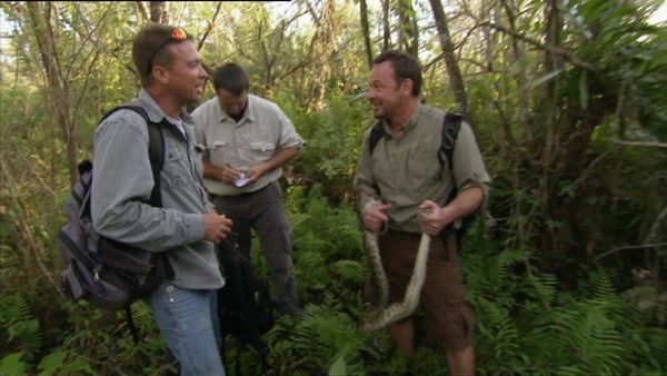 Python Hunters - Episodio 1