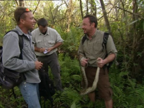 Python Hunters - Episodio 1