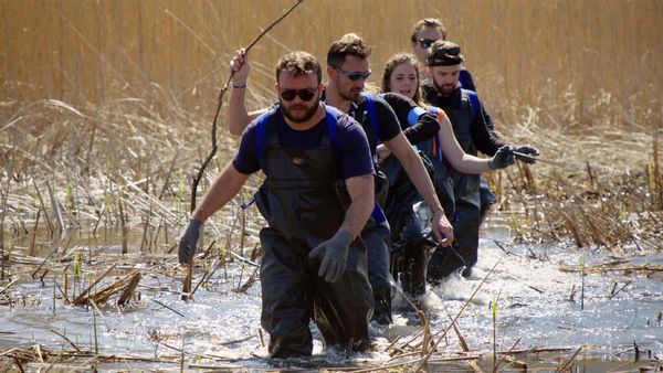 Thru - The Swamp