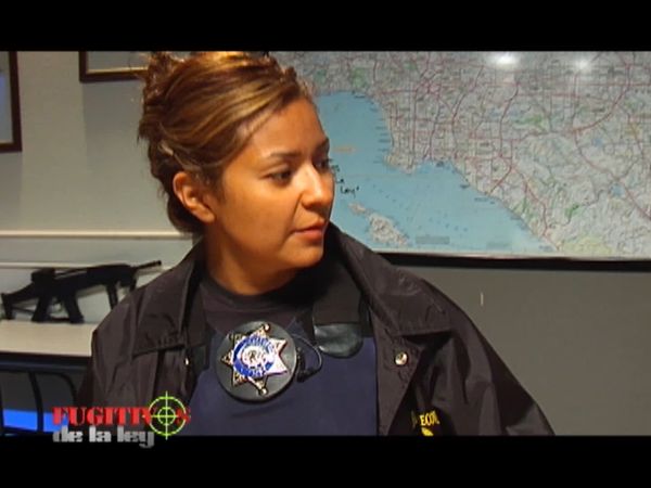 Fugitivos de la Ley: Los Ángeles - El terrorista