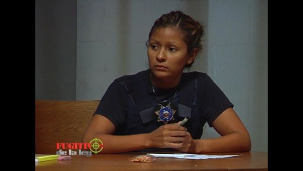 Fugitivos de la Ley: Los Ángeles - El escritor