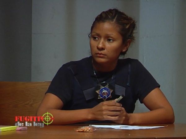 Fugitivos de la Ley: Los Ángeles - El escritor