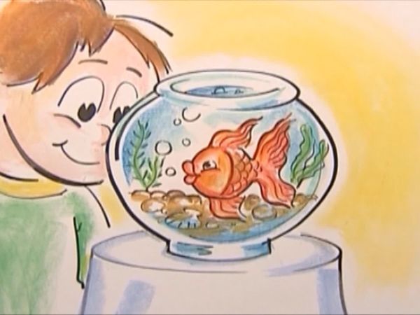 Inspiración de color - Arte y música - Episodio 2