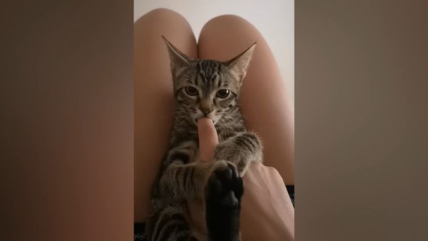 Las Mejores Mascotas - Episodio 39