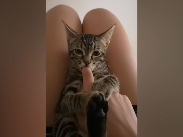 Las Mejores Mascotas - Episodio 39