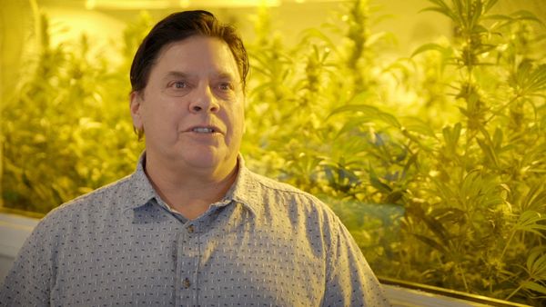 The Future Is Cannabis - The Future Is Cannabis