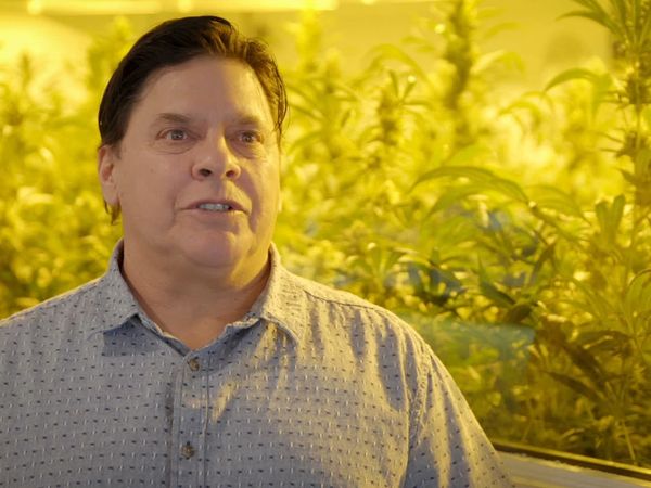 The Future Is Cannabis - The Future Is Cannabis