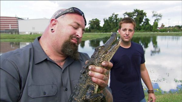 Auction Hunters - Voodoo Moola