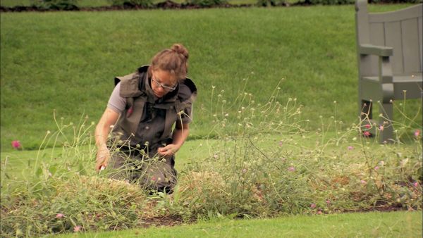 British Gardens in Time - Nymans
