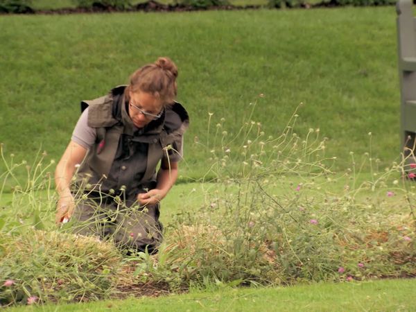 British Gardens in Time - Nymans