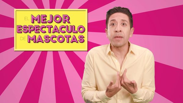 El Mejor Espectáculo De Mascotas - Todos Los Animales Graciosos