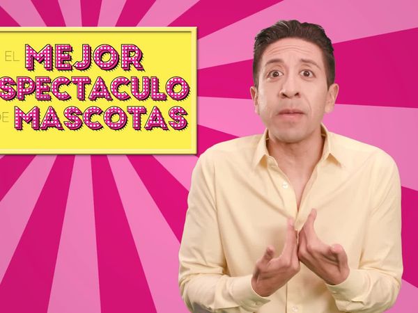 El Mejor Espectáculo De Mascotas - Todos Los Animales Graciosos
