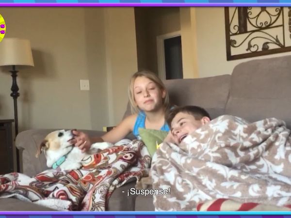 Niños Graciosos - Videos divertidos para niños