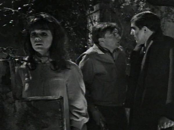 Dark Shadows - Episode 230