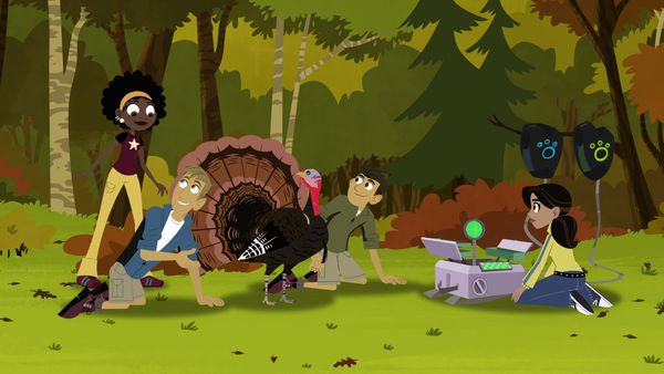 Wild Kratts - El pavo salvaje
