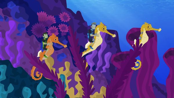 Wild Kratts - Los caballitos de mar