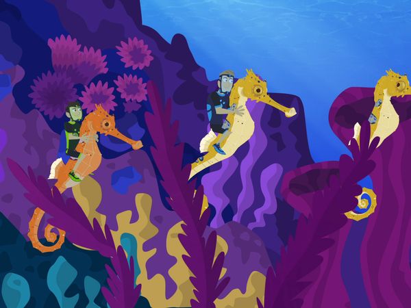 Wild Kratts - Los caballitos de mar