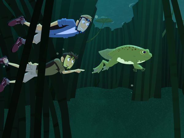 Wild Kratts - El estanque de las ranas