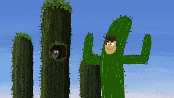Wild Kratts - Rescate en el desierto