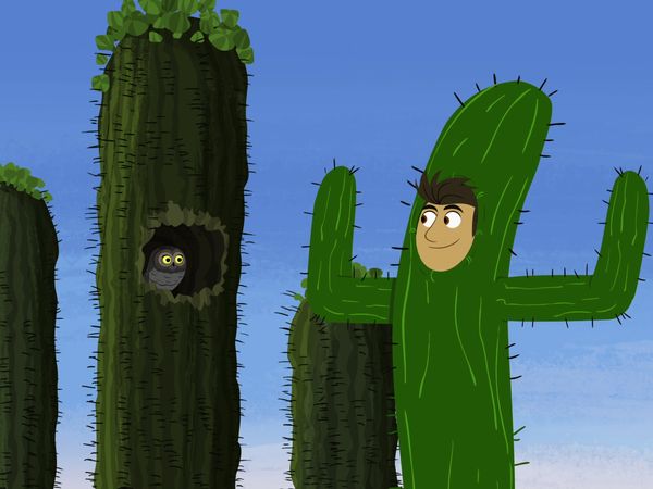 Wild Kratts - Rescate en el desierto