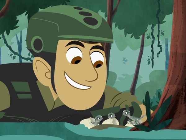 Wild Kratts - El vuelo del dragón