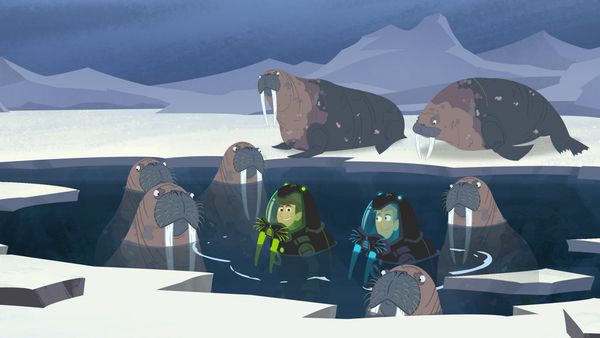 Wild Kratts - Los poderes de la morsa