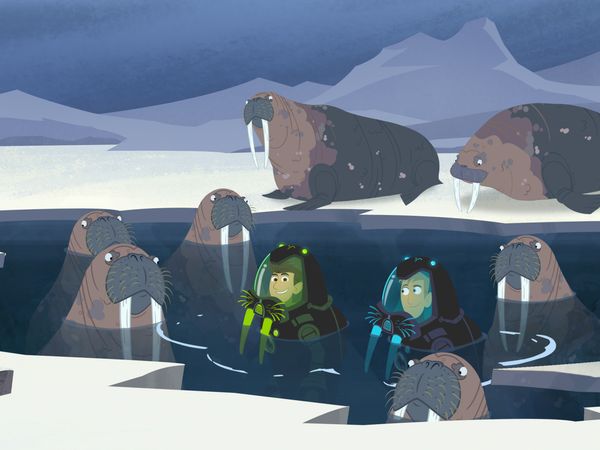 Wild Kratts - Los poderes de la morsa