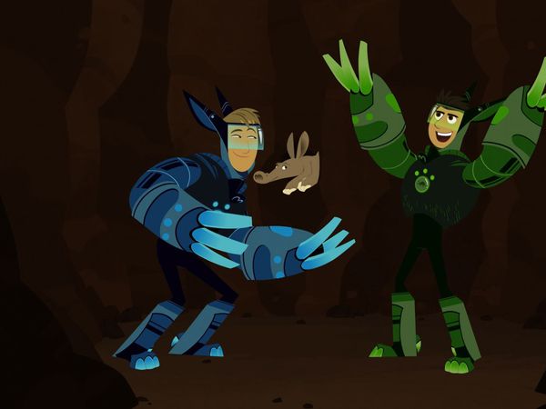 Wild Kratts - El descubrimiento