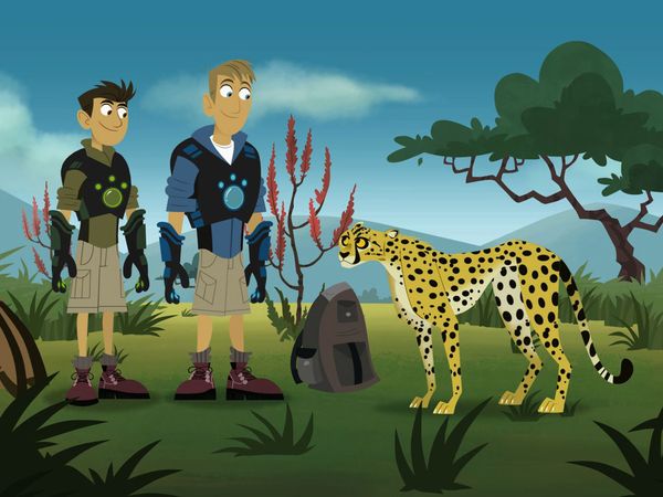 Wild Kratts - Globo-Koala