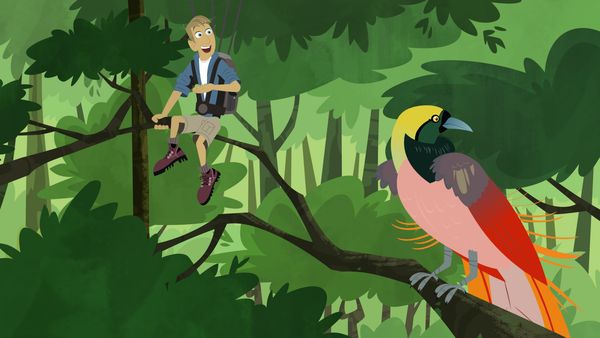 Wild Kratts - El efecto Gecko