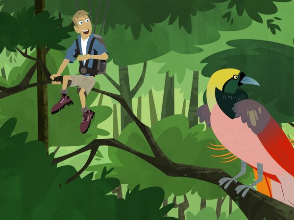 Wild Kratts - El efecto Gecko