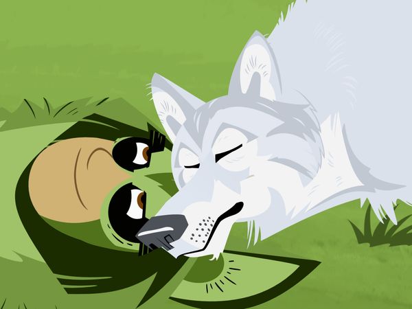 Wild Kratts - Un regalo para Aviva