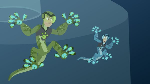 Wild Kratts - La danza de las Aves