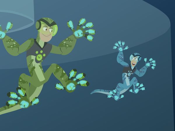 Wild Kratts - La danza de las Aves