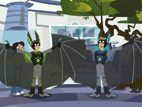 Wild Kratts - Un Murciélago en el plato