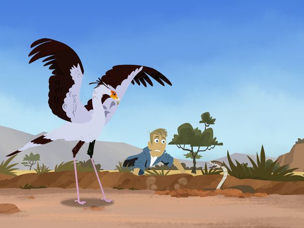 Wild Kratts - El vuelo de las aves