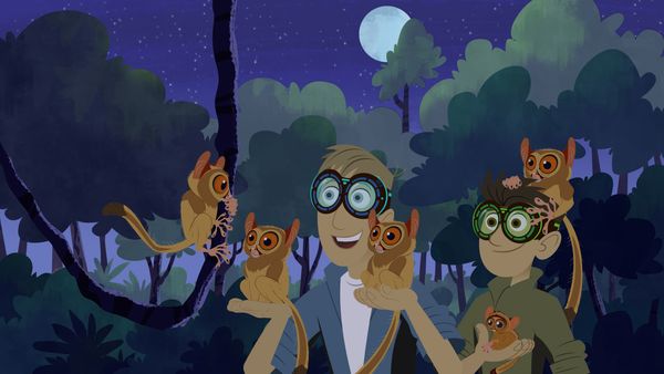 Wild Kratts - Visión Nocturna