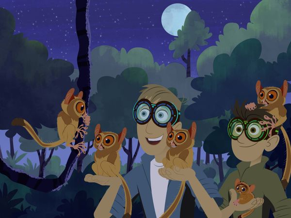 Wild Kratts - Visión Nocturna