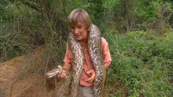 Austin Stevens Adventures - La Pitón monstruo