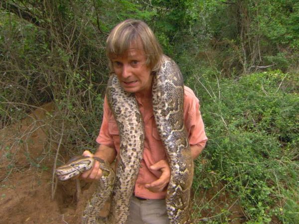 Austin Stevens Adventures - La Pitón monstruo