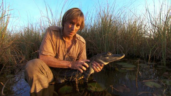 Austin Stevens Adventures - La pitón gigante invasora