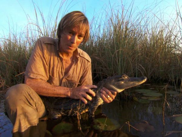 Austin Stevens Adventures - La pitón gigante invasora