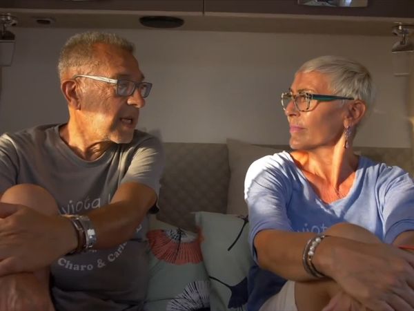 Viajero Errante - La gaviota viajera