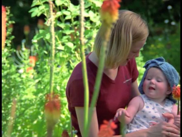 Baby Einstein Classics: Baby's First - Baby Bach: Musical Adventure