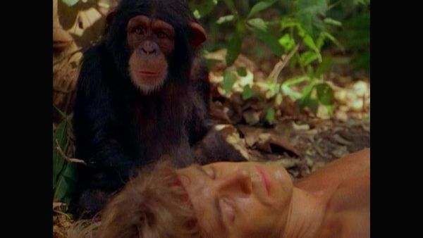 Tarzan - Tarzan and Cheetah's Desperate Adventure