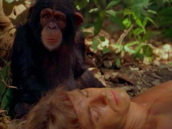 Tarzan - Tarzan and Cheetah's Desperate Adventure