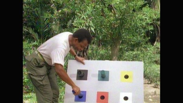 Tarzan - Tarzan and the Law of the Jungle
