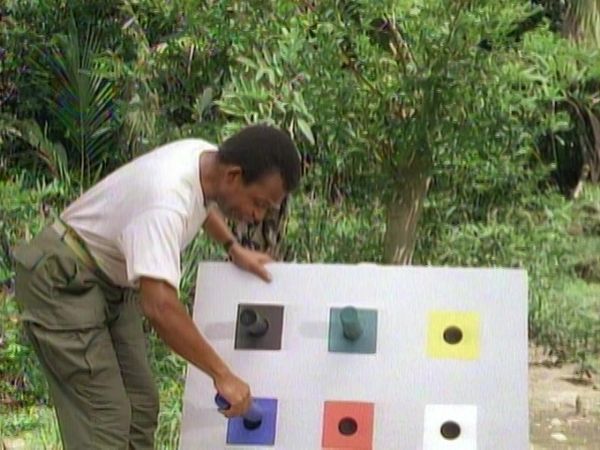 Tarzan - Tarzan and the Law of the Jungle
