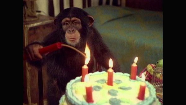 Tarzan - Tarzan and the Deadly Gift