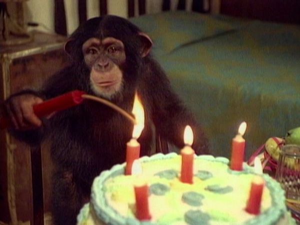 Tarzan - Tarzan and the Deadly Gift